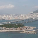 남항대교 이미지