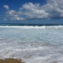 동해바다 이미지