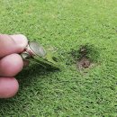 북악골프연습장 이미지