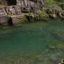 곤드레만드레 이미지