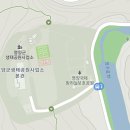 꿀벌사랑