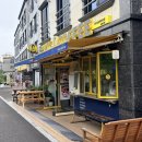 호호다방 | ㅣ 빽다방 ㅣ 춘배와 친구들 프로모션 오늘부터...춘배키캡키링 겟하세요:) + 프로모션음료2종 솔직후기!!