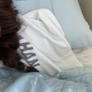 힘찬정형외과의원 이미지