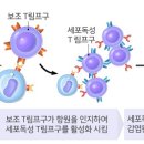 온코티앤티