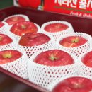 동산영농조합 이미지