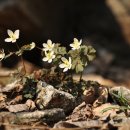 다래산장 이미지