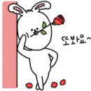 은하텔레콤 이미지
