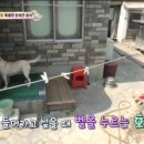 호야 농장 이미지