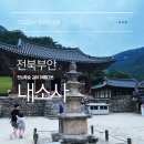 생명과 공존의 숲( | 전라북도 여행. 전나무숲길이 아름다운 내소사