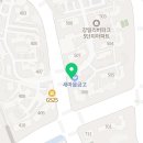 용인대라이온즈태권도장 이미지