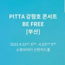 까르페디엠(가동) | PITTA강형호 [BE FREE] 부산콘서트 후기