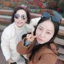 (주)스카이워크 | [국내여행]부모님 만족도 최상, 국내 가을여행 추천 코스! 1박2일 단양~문경 !!