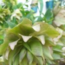 공구마을 이미지