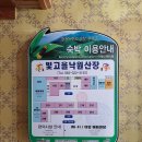 빛고을낙원산장 | 무주 구천동 반려동물과 동반 가능한 &#39;빛고을 낙원펜션&#39;