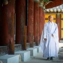 "불자와 등산객 모두 좋은 길…시절인연따라 사찰도 변해야" [금정산 범어사 주지 정오 스님] 이미지
