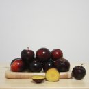 천두농장 이미지