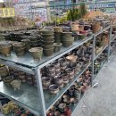 평안꽃식물원 이미지