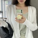 라피에나 이미지
