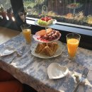 꽃하루방 이미지