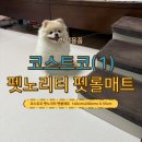 메트로펫 | [코스트코펫매트] 펫노리터 펫롤매트 설치 후기, 강아지매트로 딱!(1)