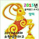 얌 - 동대문구 약령시로21길 3 | 얌
