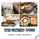 꾸어바666 이미지