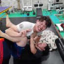 팀메드 Daum카페