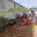 행복한마을 이미지