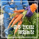 무랑농장 | [킨더팜 체험농장] 세종 근교 아이랑 실내 갈만한 곳 내돈내산 후기