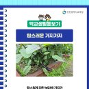 인천송명초등학교 네이버블로그