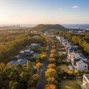 숲속마을부동산공인중개사사무소 | 오라이동 정실마을 제주살이 하기 좋은 도심속 비밀정원