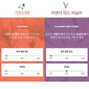 그린운동화크리닝 | 그랩그린 고농축 캡슐세제, 무독성 친환경 세제, 식기세척기 세제