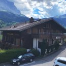 그린델발트 하이킹: 스위스 알프스 트레일의 매력 찾기 이미지