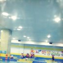 닥터마린키즈수영장 이미지