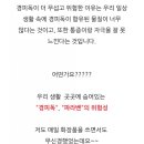 힐링스토리 이미지