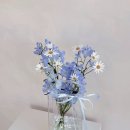 바다꽃방 이미지