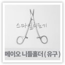 메이오 이미지
