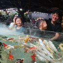 (주)아쿠아리더 | 가평가볼만한곳 가평카페 아쿠아가든카페 가평점