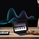 진엔터테인먼트 이미지