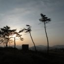 돌모루3농장 | 후망지맥(1구간) : 철마산-성대산-둥근봉 구간