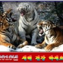 중앙영농조합법인 이미지