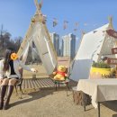 (주)씨티팜 | 수원 가볼만한 곳: 영흥수목원 봄나들이 데이트/주말 무료주차?