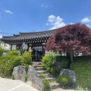 파주 삼계탕 벌써 몇번째 방문인지 기억안나는 바윗재백숙 염소탕 맛집이네