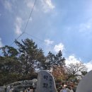 [전남 여수] 꽃섬 여수 하화도 트레킹 서대회맛집 와쏘식당 후기