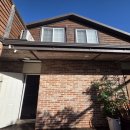 별장행복펜션민박 | 제주 독채 구좌읍 숙소 추천 반려견 동반 여행 가능 초록별장 펜션 이용후기