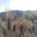 메디컴바인 이미지