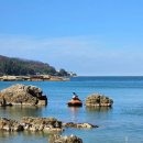 수산3리 | 영덕 스노클링 명소 추천, 경정3리 방파제 (물 맑음, 수심 얕음, 물고기 많음!!!)