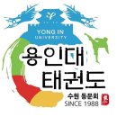 용인대 예도 태권도 이미지