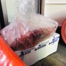 우리물텀벙 이미지