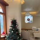 문가스테이 | 울산 진하해수욕장 감성 숙소 아만스테이 솔직 후기